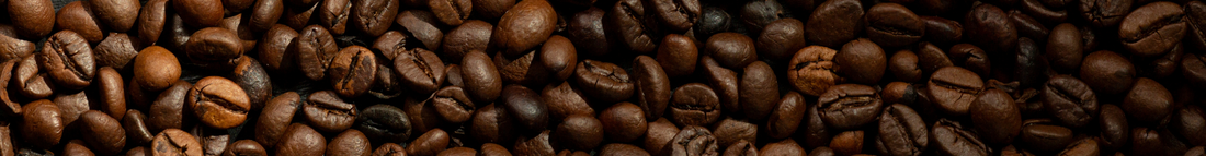 ¿Por qué el café de Coatepec es tan reconocido a nivel nacional e internacional?